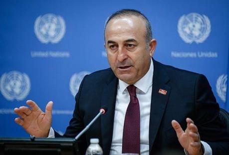 Армянская диаспора ведет активную агитацию против Турции